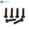 Customized Multi Size And Multi Shape Screws by Chinese Fastener Manufacturers