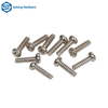 Customized Multi Size And Multi Shape Screws by Chinese Fastener Manufacturers