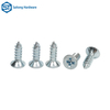 Customized Multi Size And Multi Shape Screws by Chinese Fastener Manufacturers