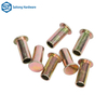 Rivet Manufacturer Flat Headed Semi Hollow Iron Plated Zinc Rivets Are Used in Equipment, Mechanical Hardware Accessories, Etc
