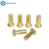 Chinese Fastener Manufacturer Customized Flat Head Solid Brass Rivets for Electronic Instrument Sensors, Etc