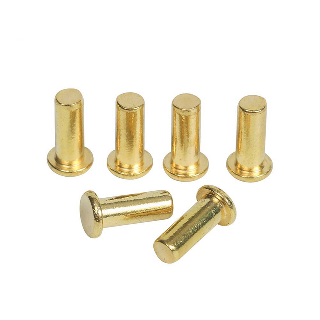 brass rivets 01